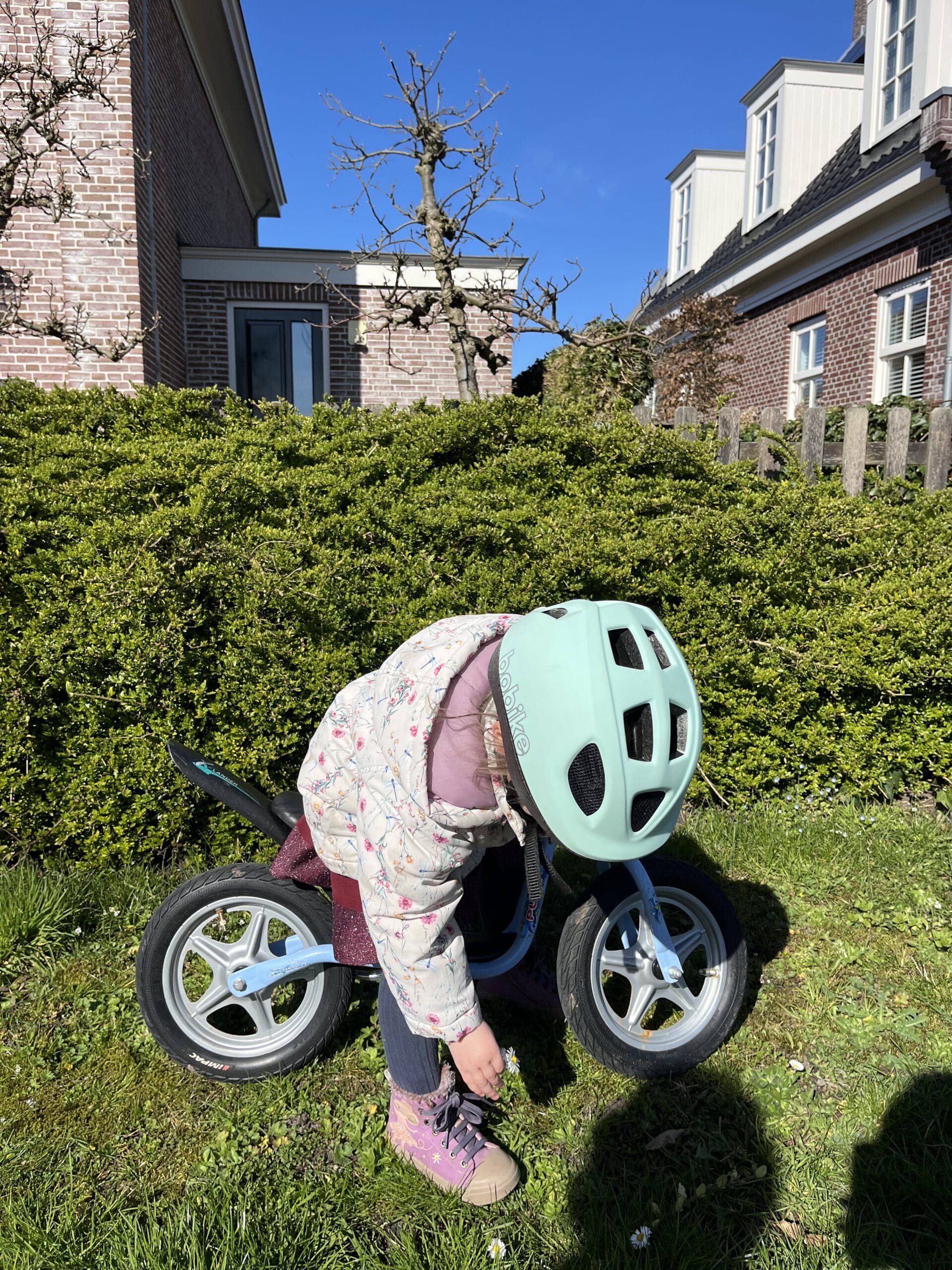 Bloemen plukken voor mama en oma